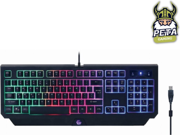 peta Gaming Set- Ryzen 5 5600G - 16GB DDR4 - 1.0TB SSD - Nvidia RTX5060TI 8GB (GamePC + 27" FullHD monitor + toetsenbord + muis) - Afbeelding 5