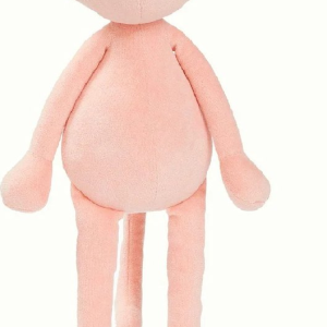 Gisel, de roze kat